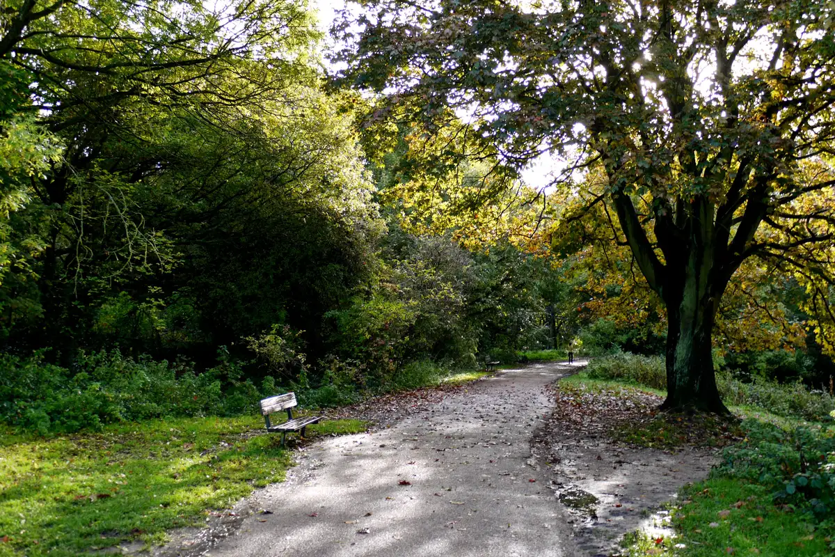 Caminho arborizado em Hampstead Heath, Londres