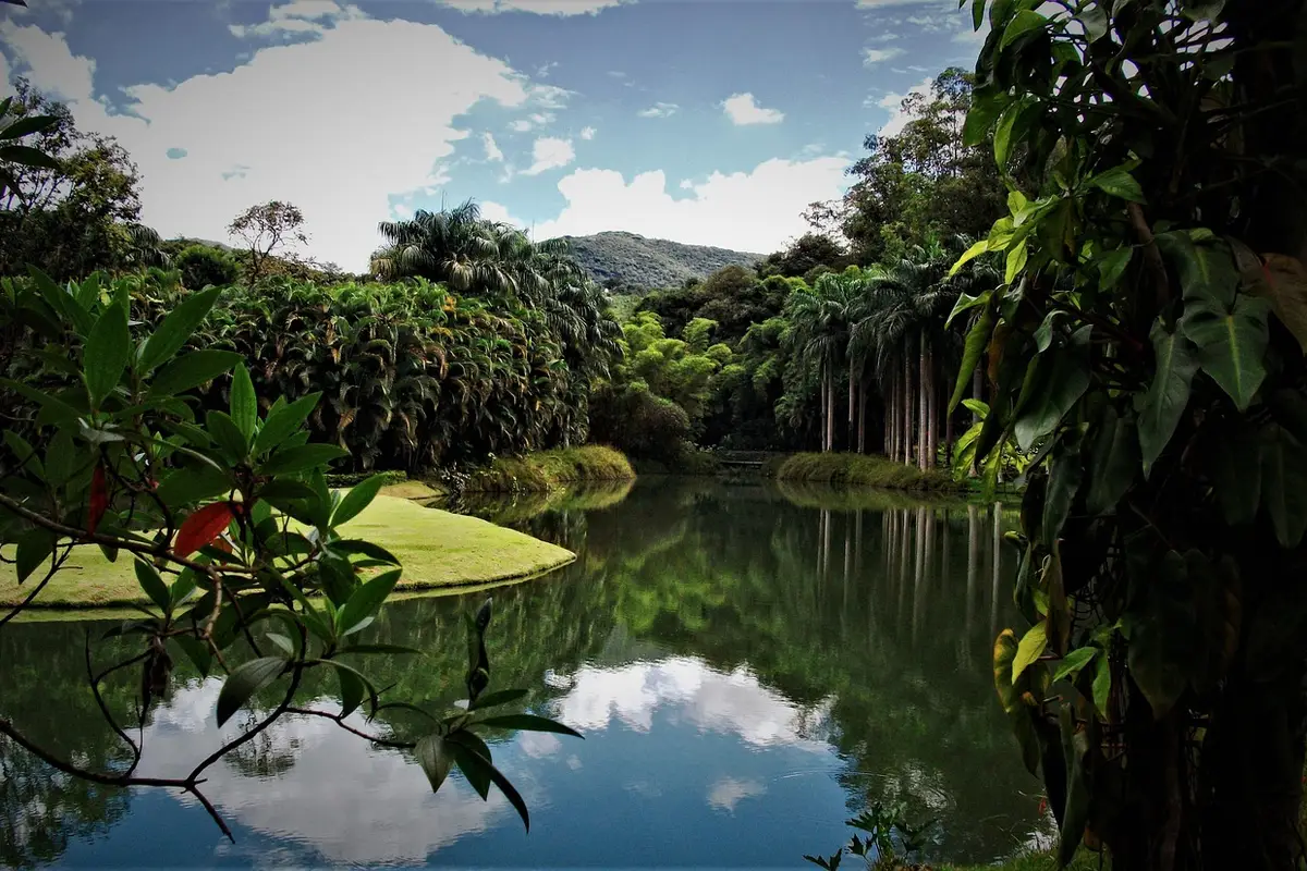 Vista externa do Instituto Inhotim em Brumadinho, Minas Gerais