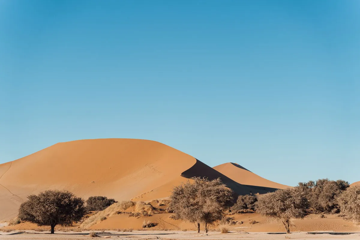 Dunas alaranjadas com vegetação de cerrado