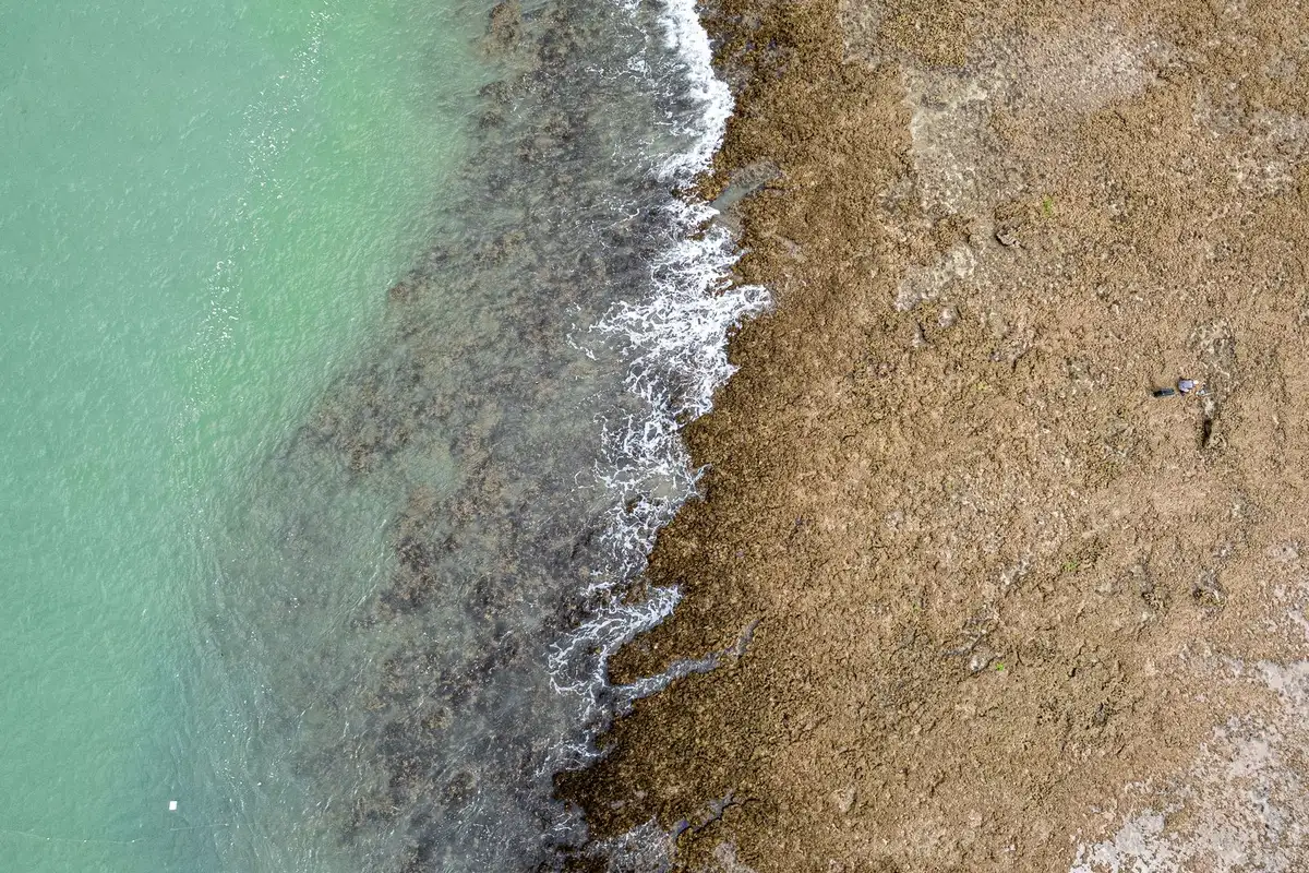 Litoral de Japaratinga com recifes e piscinas naturais na maré baixa