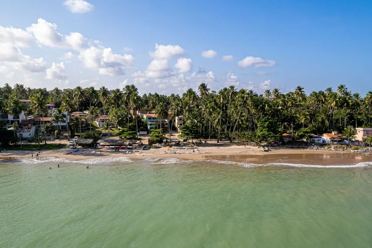 Orla de coqueiros e areia clara na praia de Japaratinga, Alagoas