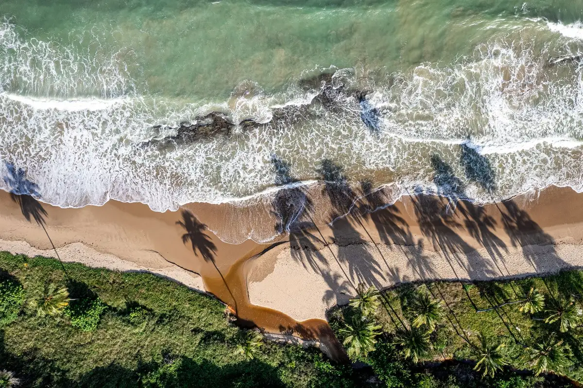 Vista aérea da praia de Japaratinga, em Alagoas, com coqueiros e mar calmo