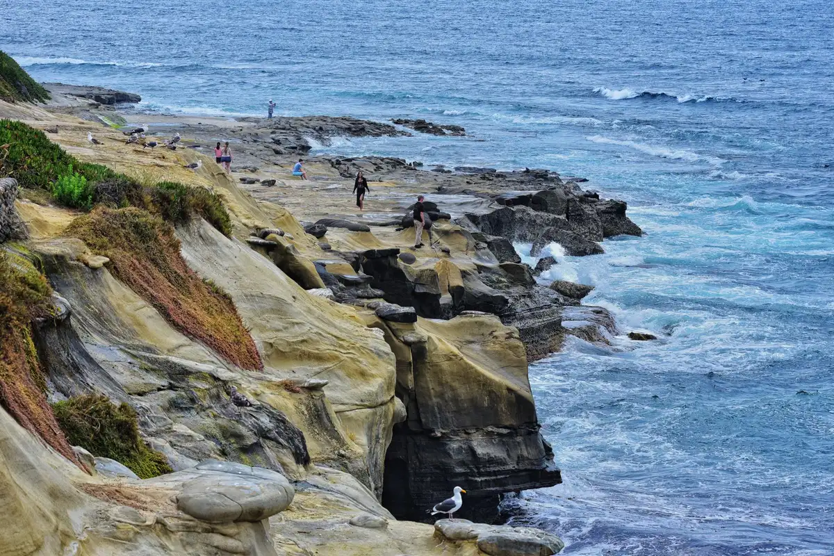 Falésias de La Jolla
