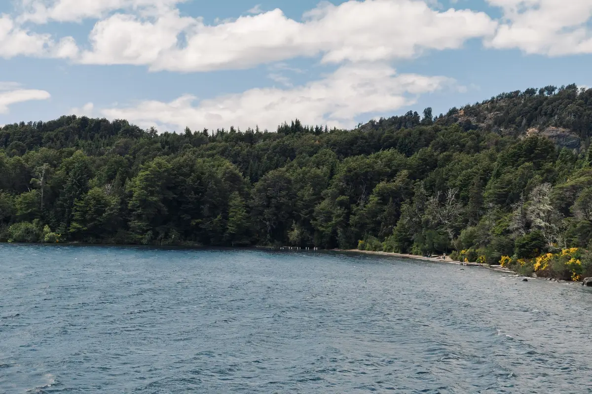 Lago cercado por mata fechada com águas escuras, paisagem semelhante à do Lago Negro