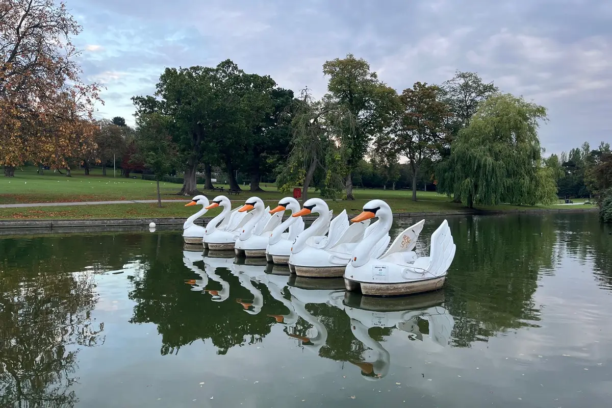 Pedalinhos em formato de cisne em um lago de parque, como os do Lago Negro em Gramado