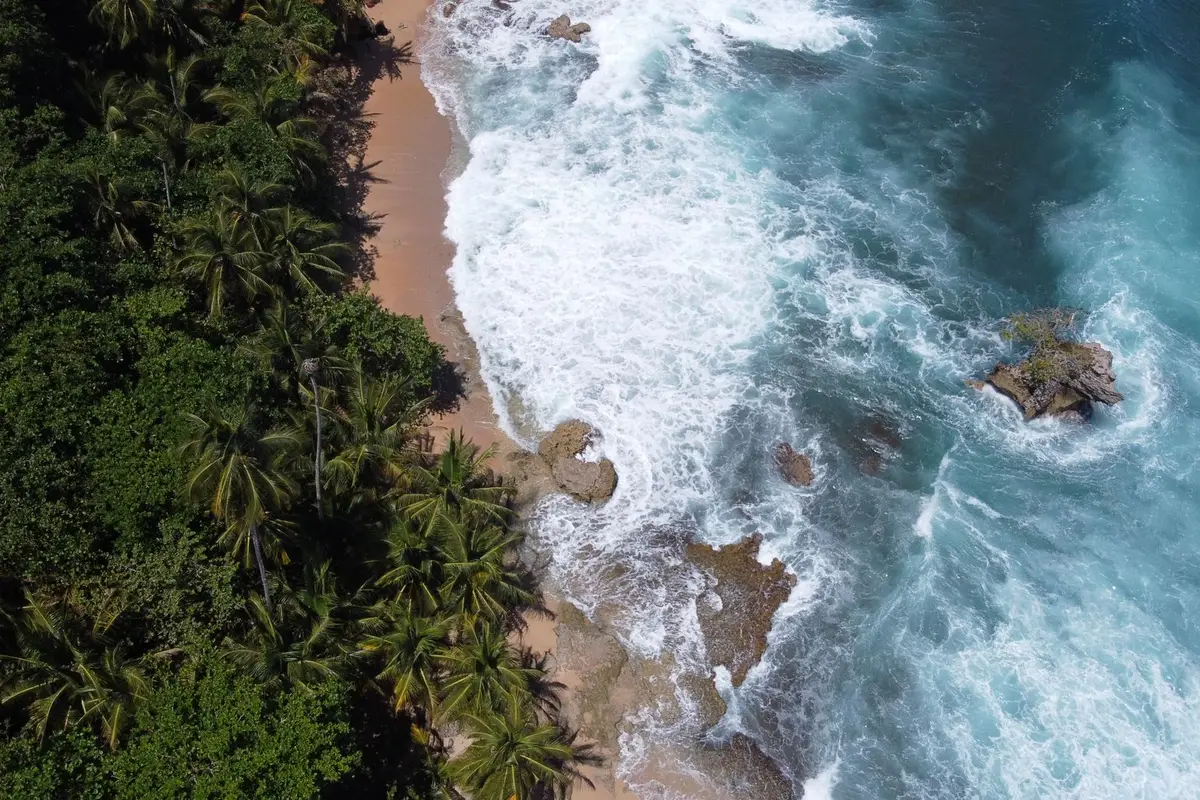 Costa caribenha com mata tropical na província de Limón