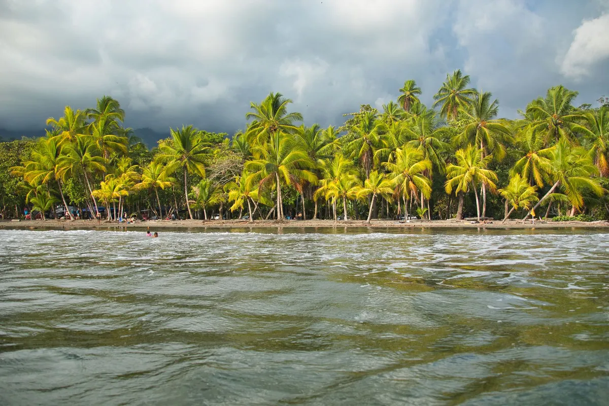 Praia com coqueiros no Caribe da Costa Rica