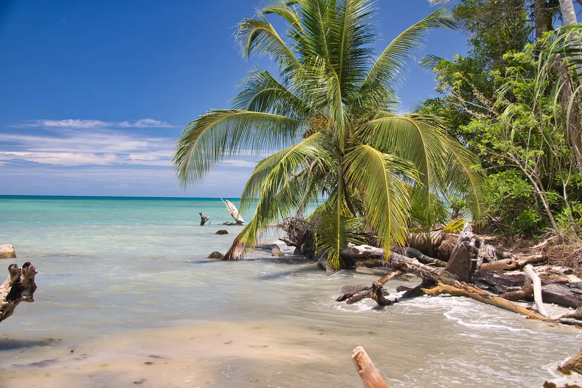 Praia tropical próxima a Cahuita e Puerto Viejo
