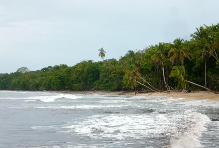 Limón Costa Rica: Caribe, parques e melhor época