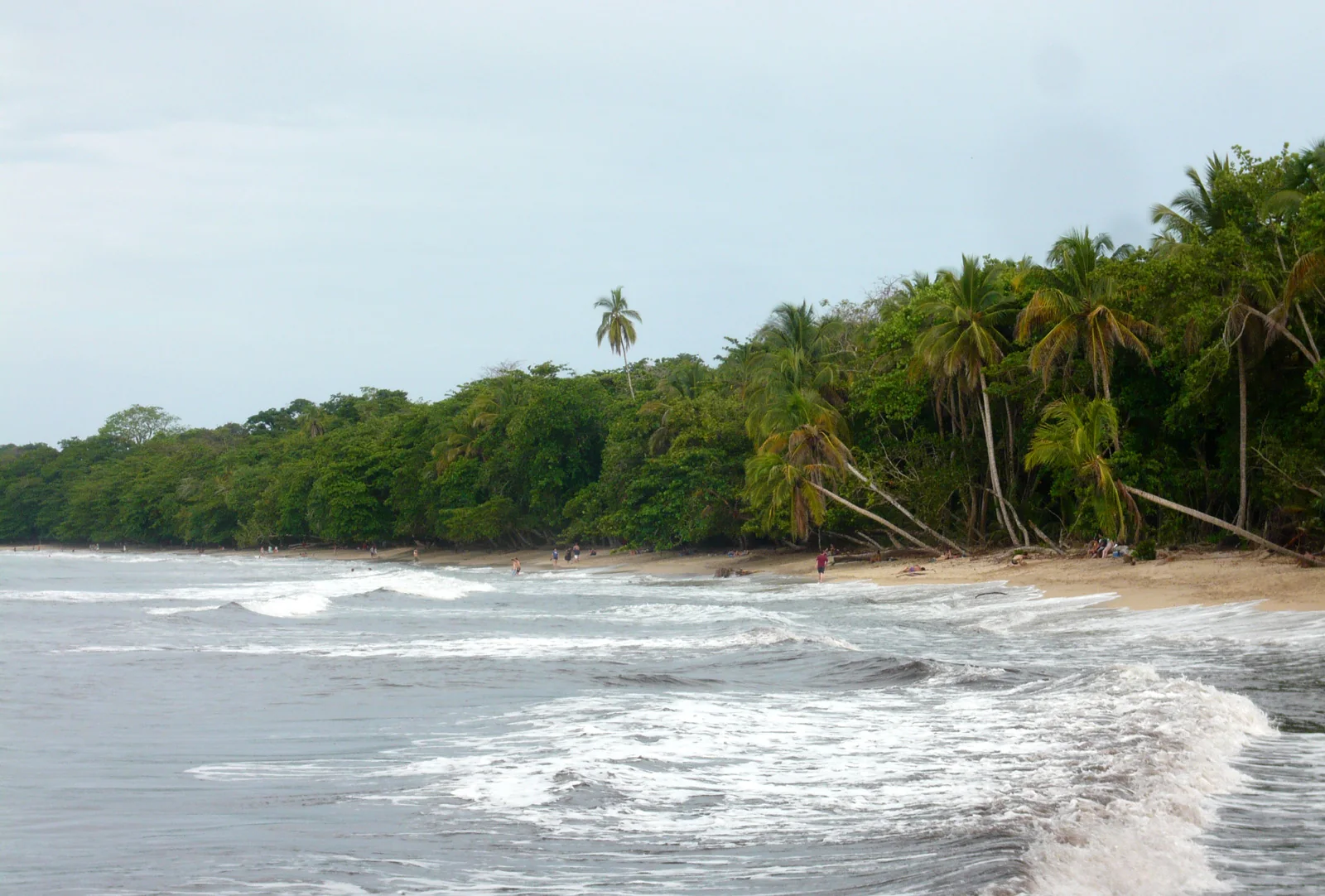 Praia e floresta no Parque Nacional Cahuita, província de Limón, Costa Rica
