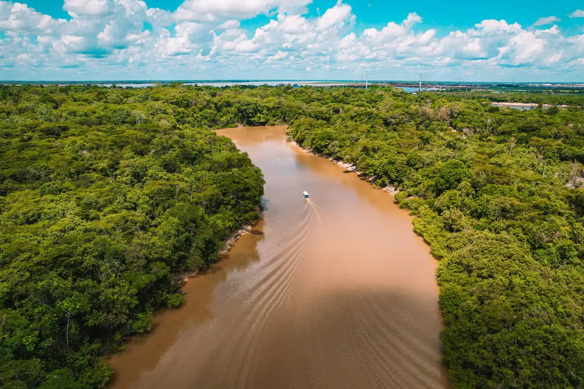 Vista aérea de um rio serpenteando pela floresta amazônica no Brasil