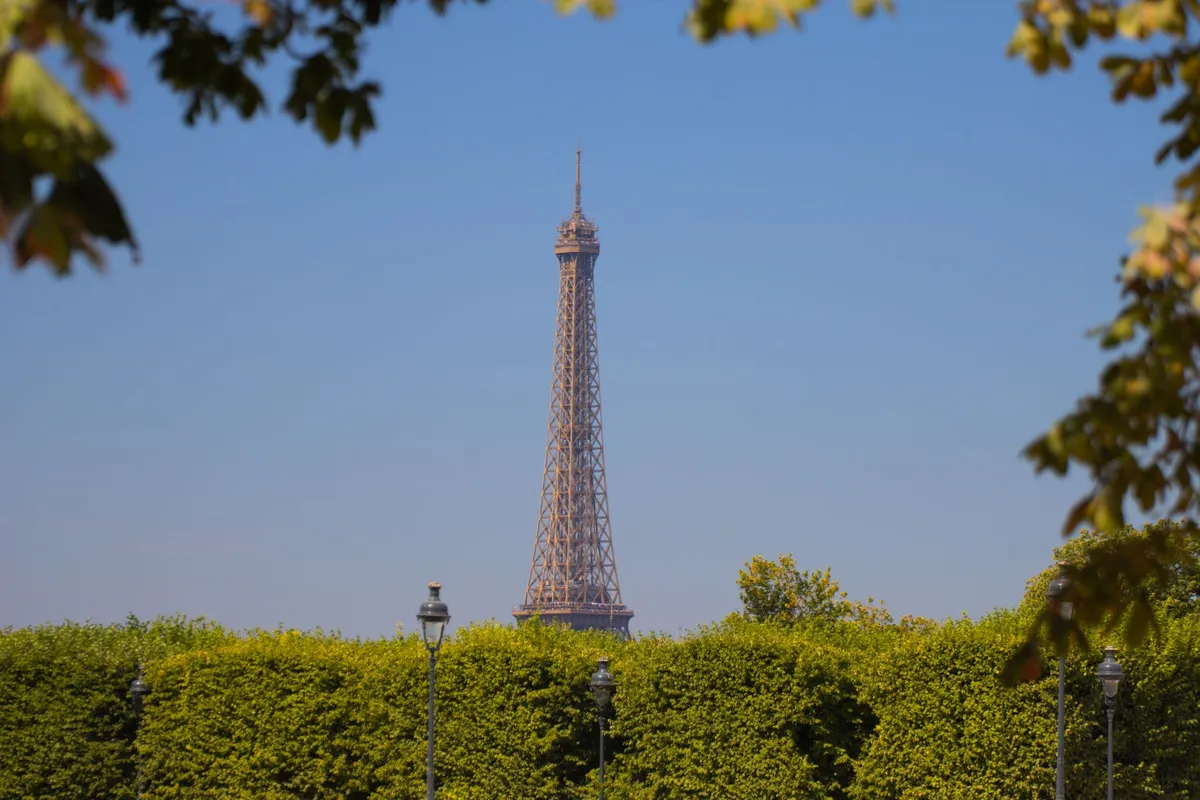 Torre Eiffel vista entre a vegetação em Paris