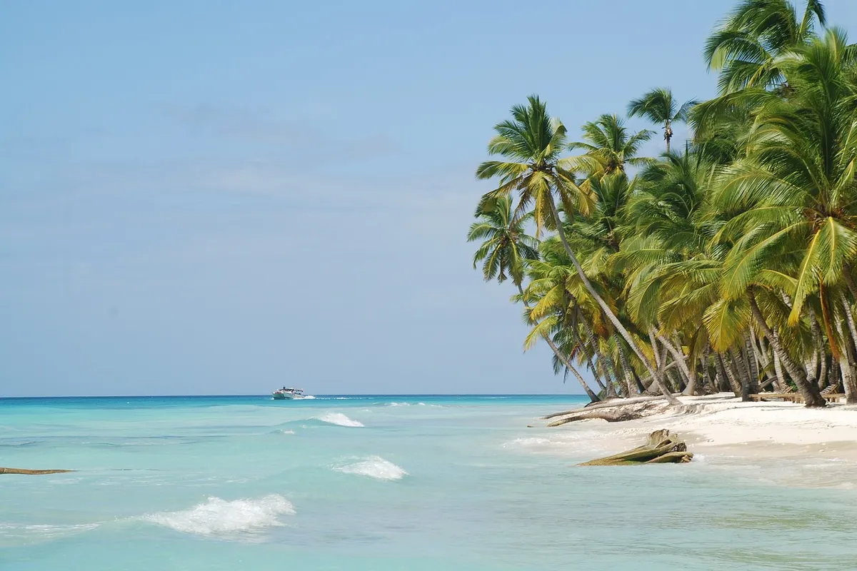 Faixa de areia, coqueiros e água clara na Ilha Saona
