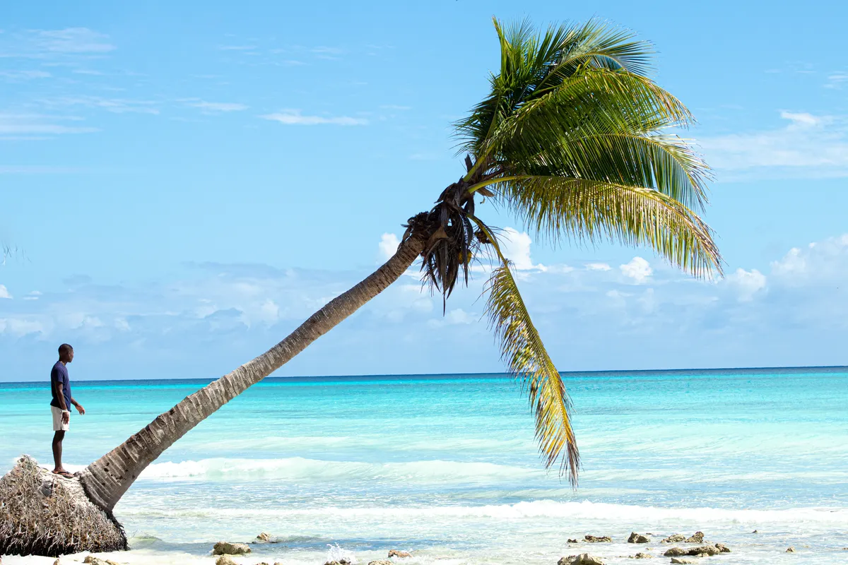 Praia tropical para ilustrar a excursão à Ilha Saona