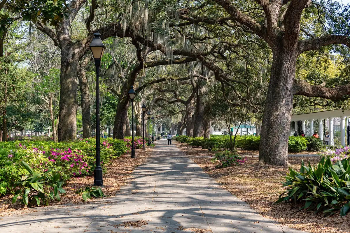 Caminho arborizado no Forsyth Park, Savannah