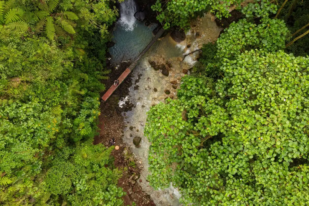 Riacho em floresta nublada