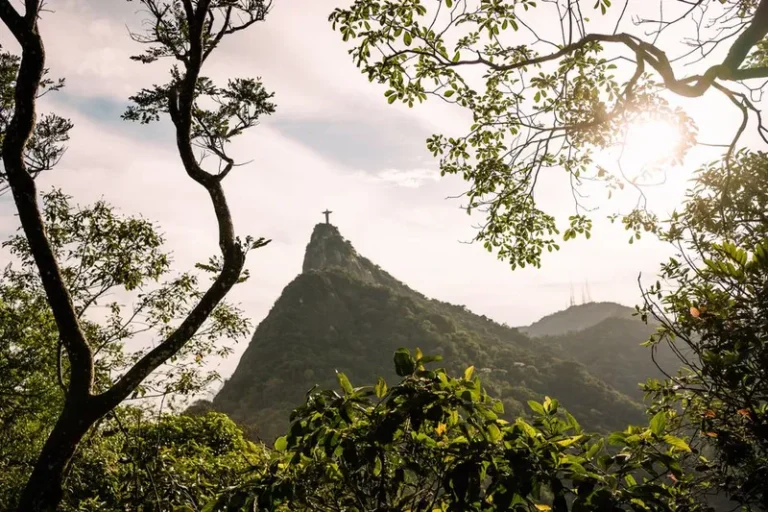 Floresta da Tijuca: trilhas para escolher sem cair em furada