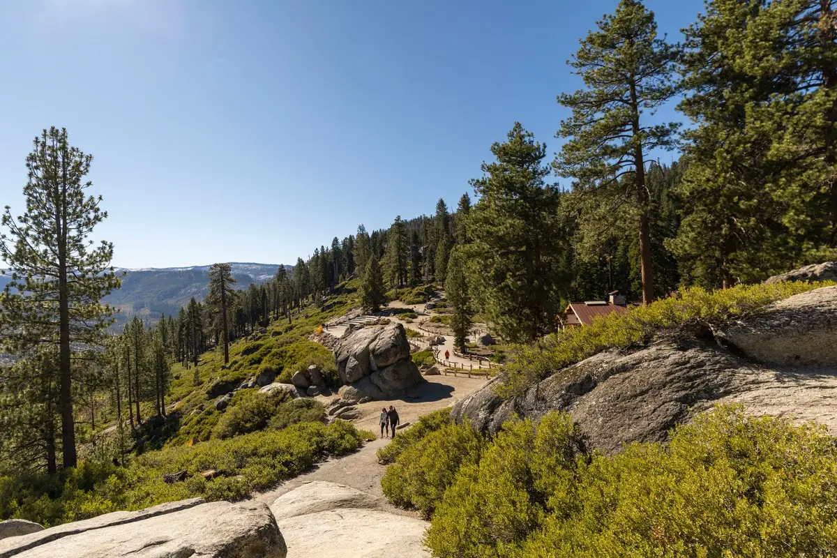 Trilha entre pinheiros no Yosemite National Park