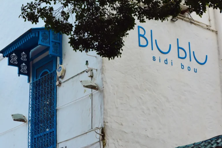 O que fazer na Tunísia: Tunis, Cartago e Sidi Bou Said