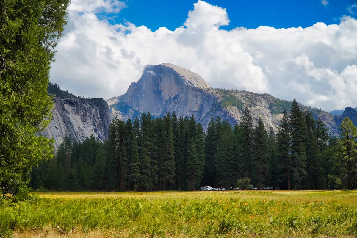 Vale arborizado no Yosemite National Park