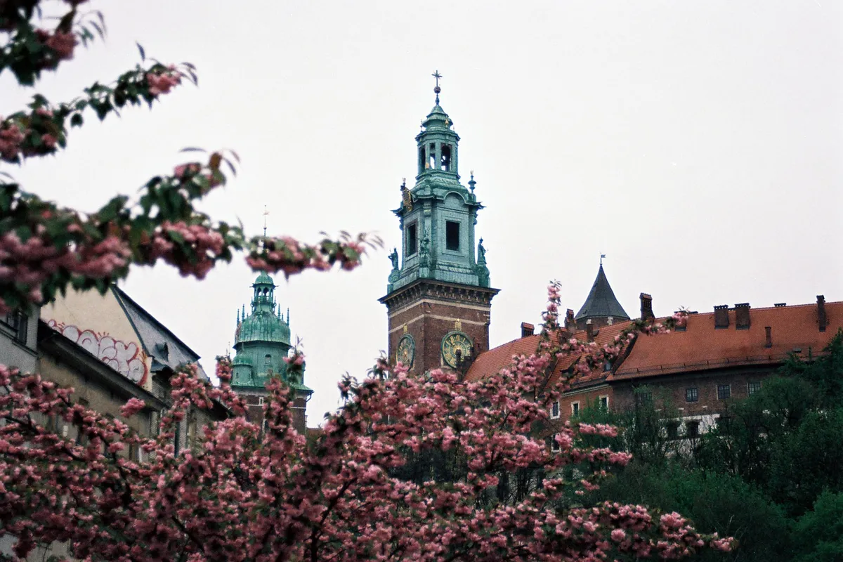 Castelo de Wawel em Cracóvia visto entre árvores floridas