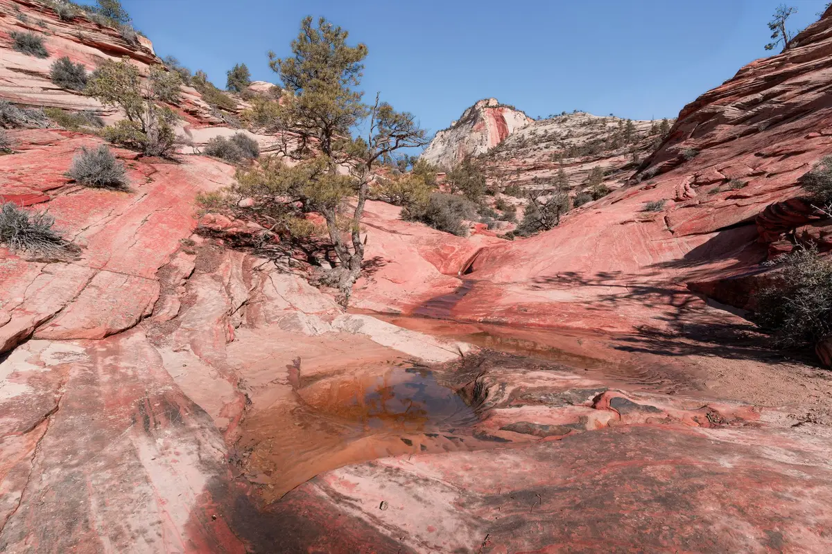 Paredões vermelhos no Zion National Park
