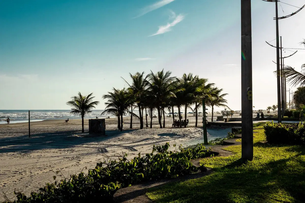Coqueiros e calçadão na orla de Praia Grande, São Paulo