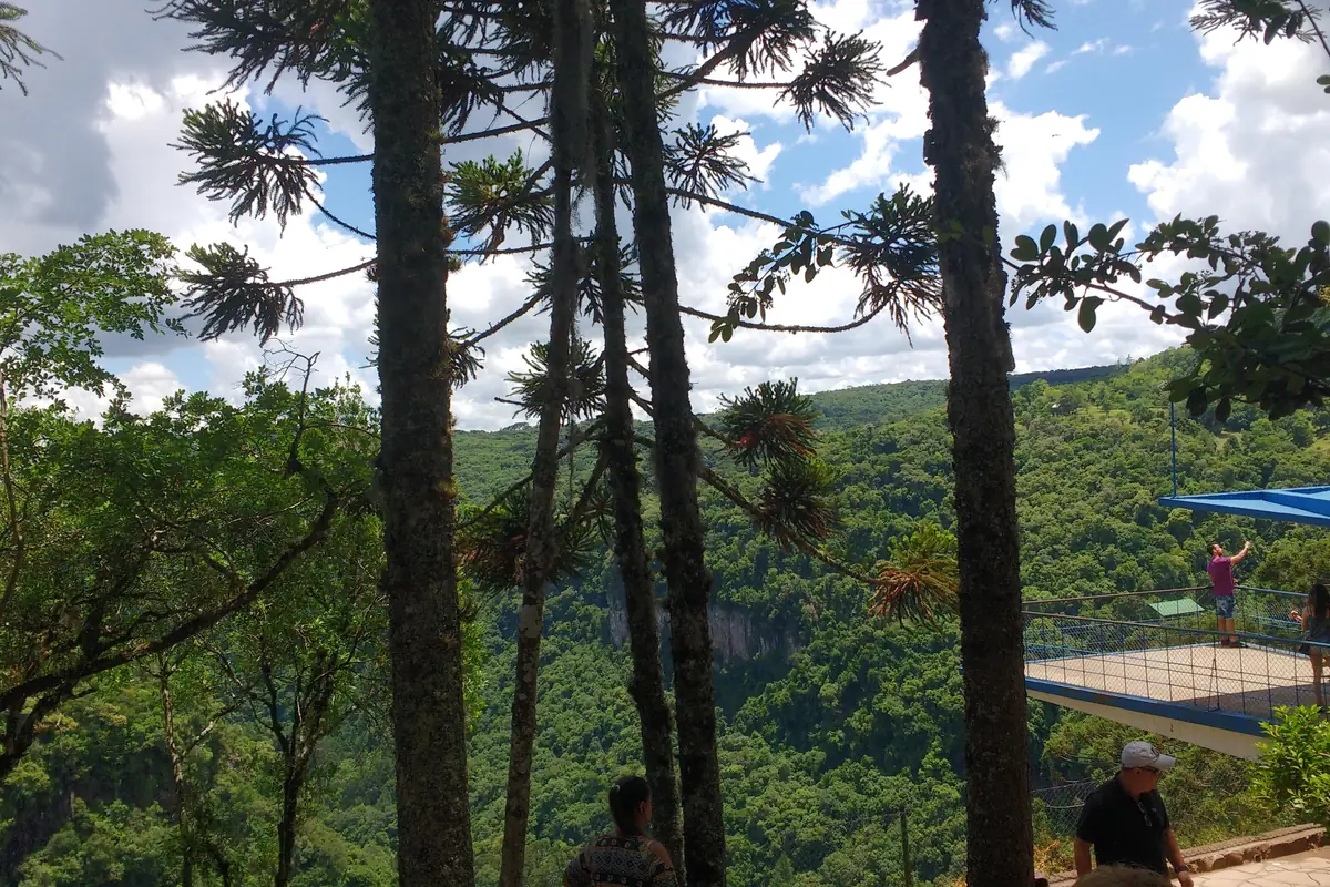 Araucárias e mirante no Parque do Caracol; registro anterior à renovação do parque