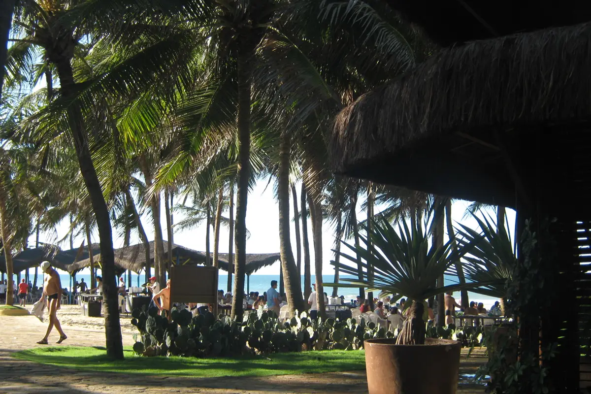 Coqueiros e área à beira-mar junto ao Beach Park, em Porto das Dunas