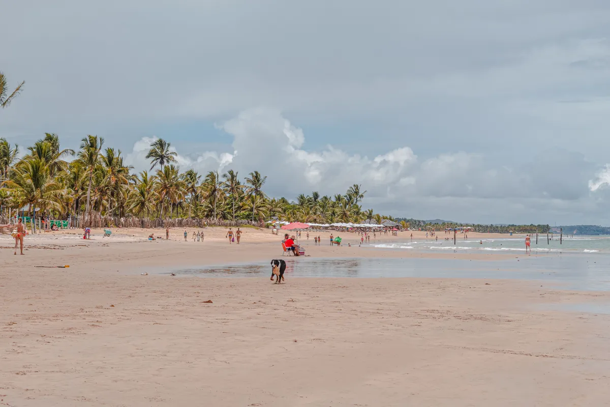 Multidão na praia durante o réveillon em Trancoso, Bahia, com festas à beira-mar