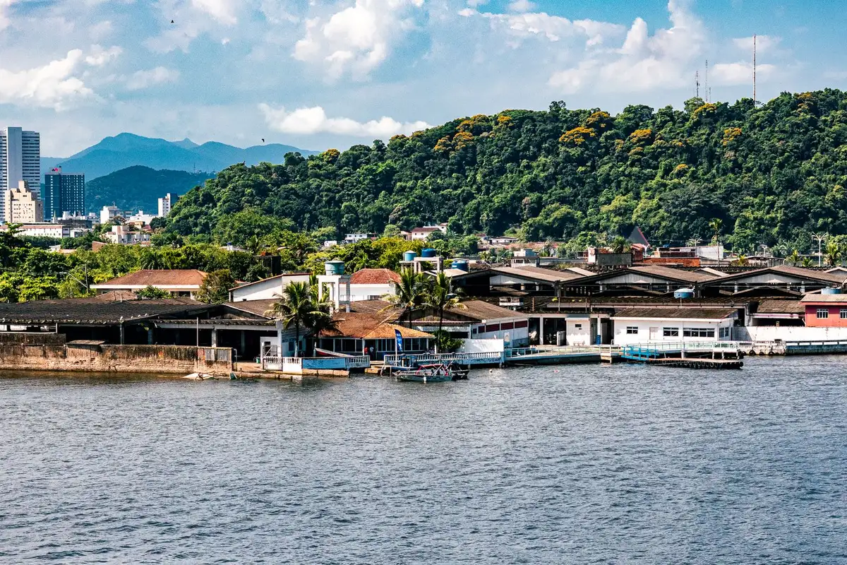 Vista panorâmica do porto de Santos com morros ao fundo