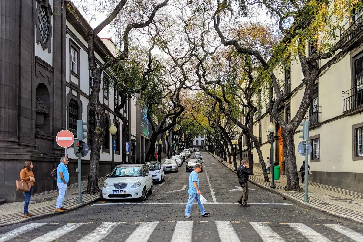 Rua arborizada e pedestres no Funchal