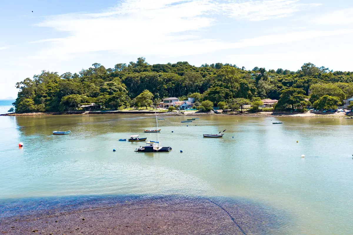 Baía de Penha com barcos e vegetação junto à água