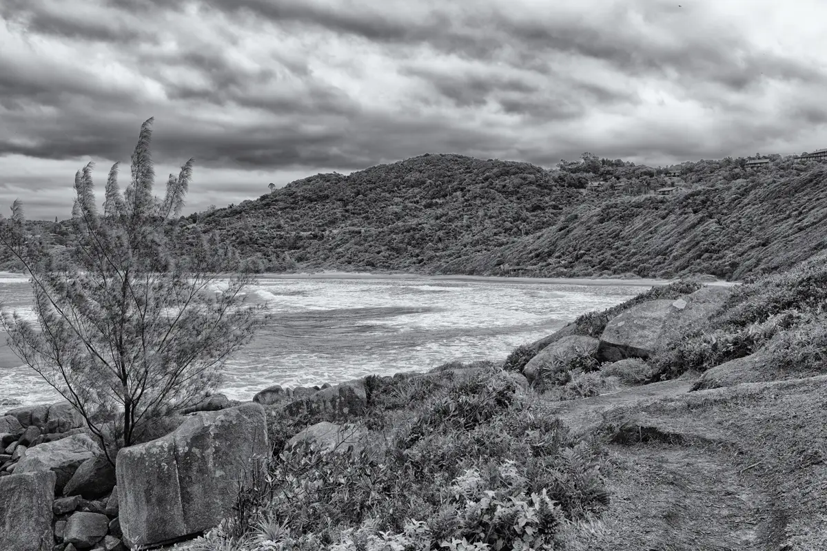Costão e vegetação junto à Praia do Rosa