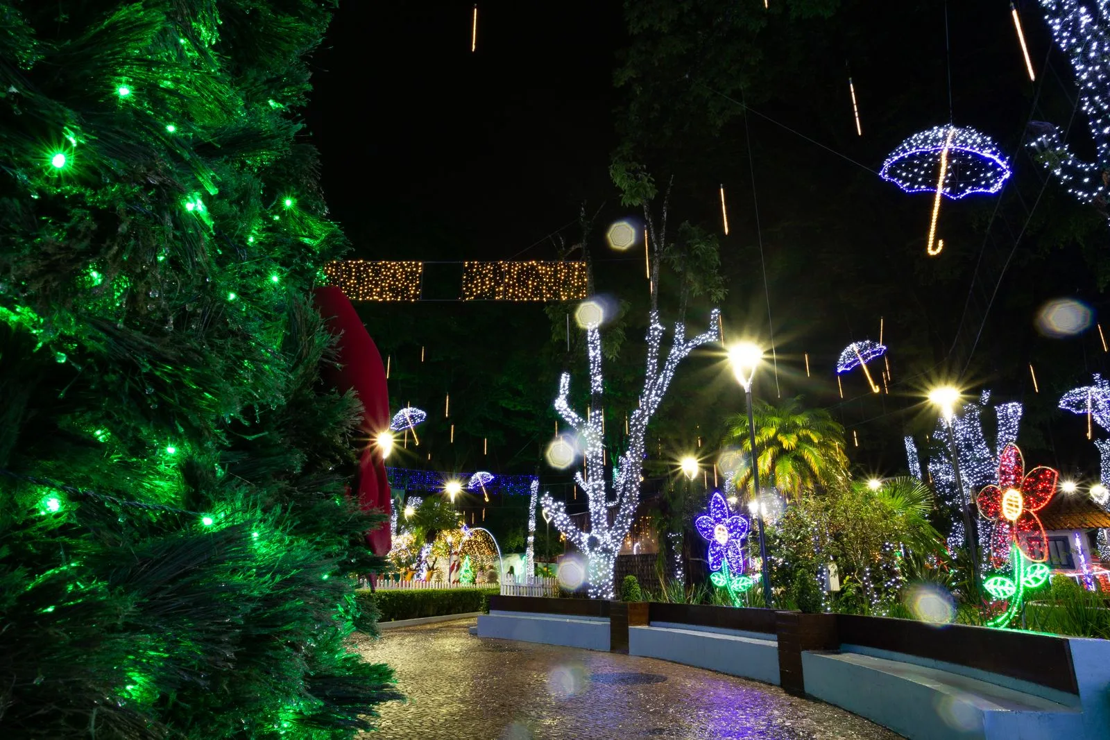 Parque iluminado com decoração de Natal e luzes coloridas à noite (imagem ilustrativa)
