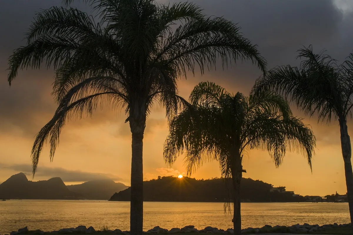 Palmeiras e pôr do sol sobre a baía no Aterro do Flamengo, no Rio de Janeiro