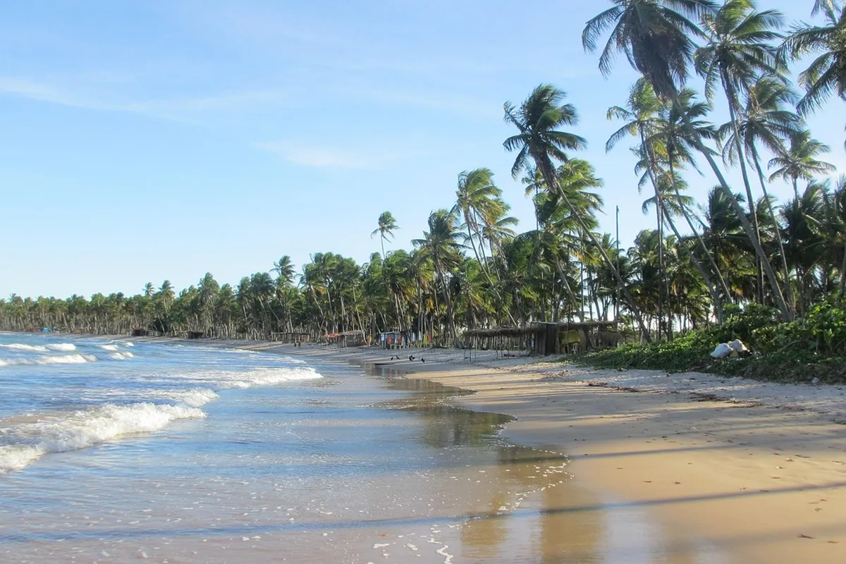 Praia deserta com coqueiros na ilha de Boipeba, na Bahia, longe da folia do Carnaval