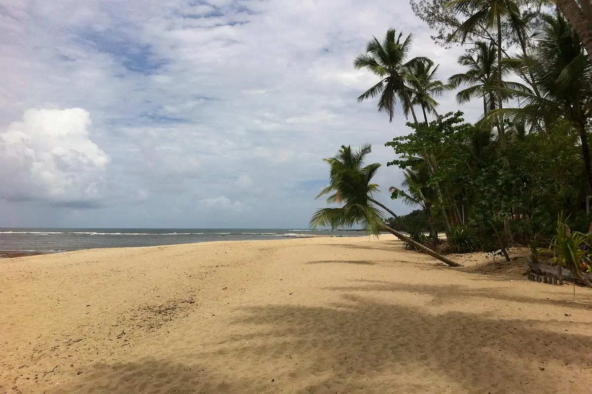 Praia deserta com coqueiros na Ilha de Boipeba