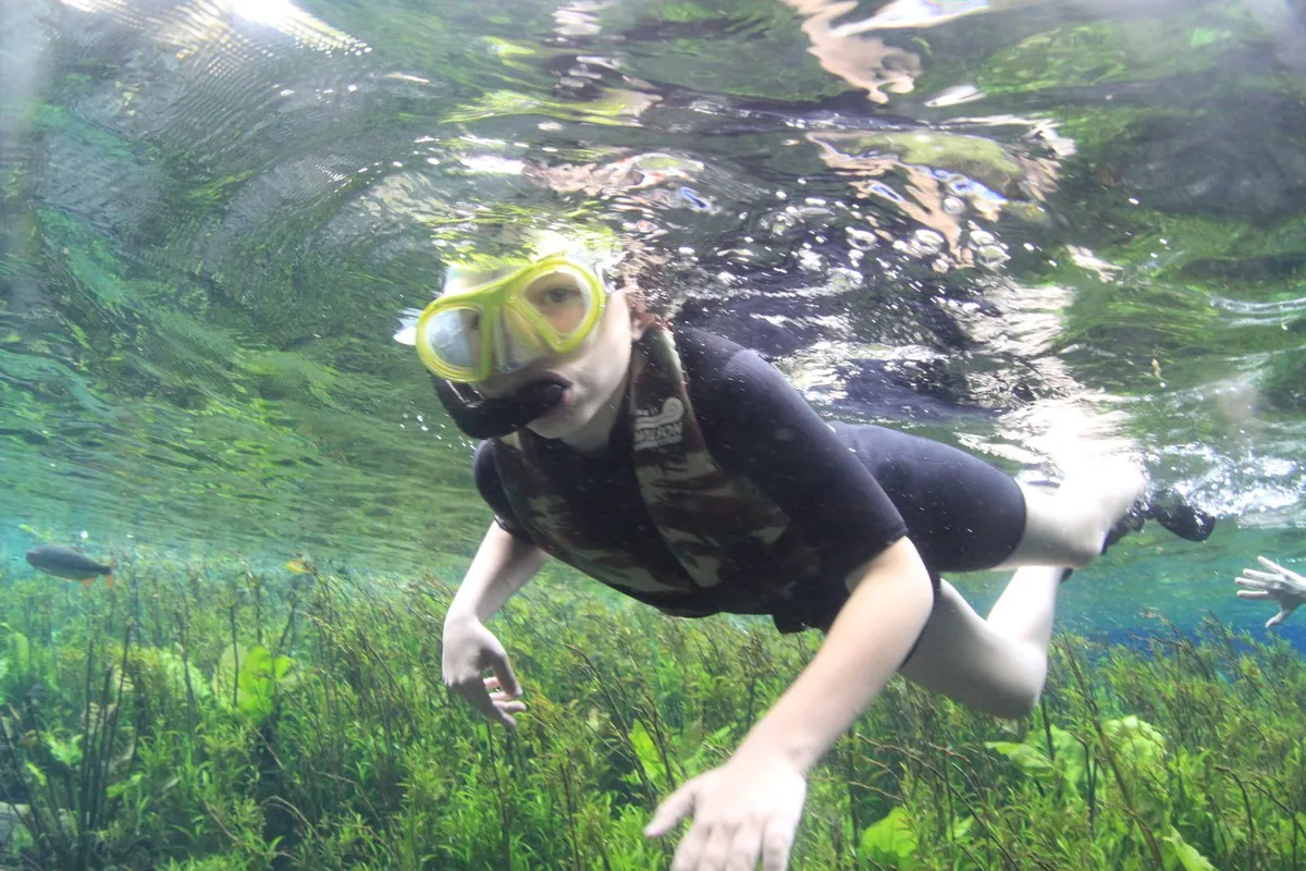 Flutuação em rio de água cristalina com peixes e vegetação no fundo em Bonito, Mato Grosso do Sul
