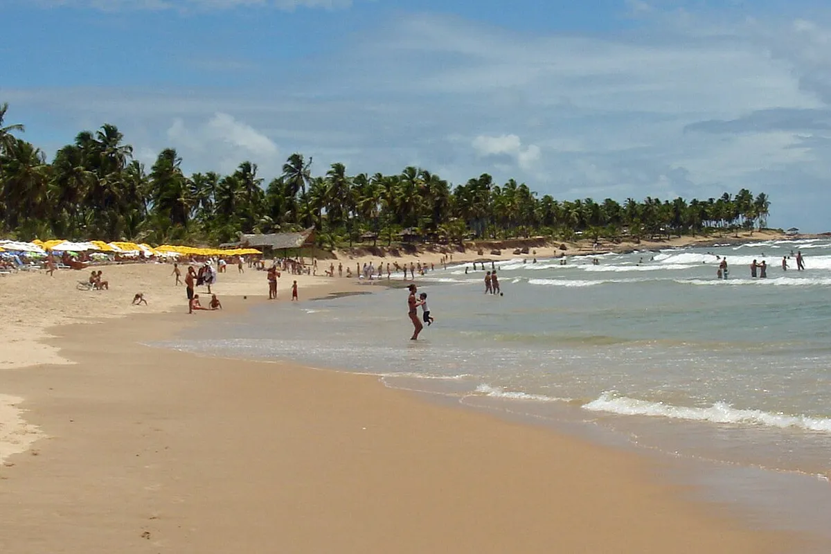 Vista panorâmica da Costa do Sauípe, na Bahia, com coqueiral e mar