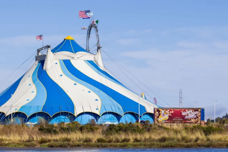 Cirque du Soleil Alegría au Brésil 2026 : São Paulo et Curitiba, billets et catégories