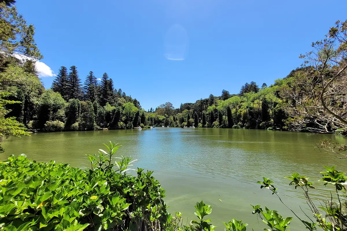 Lago Negro em Gramado com araucárias ao redor