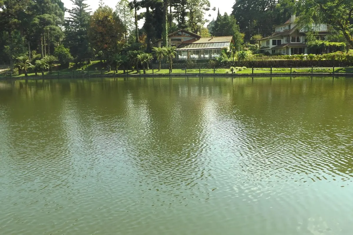 Lago cercado por árvores em Gramado