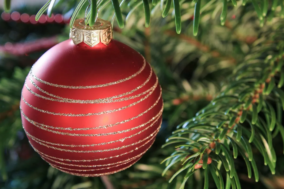 Árvore de Natal iluminada com luzes douradas, clima dos shows de fim de ano