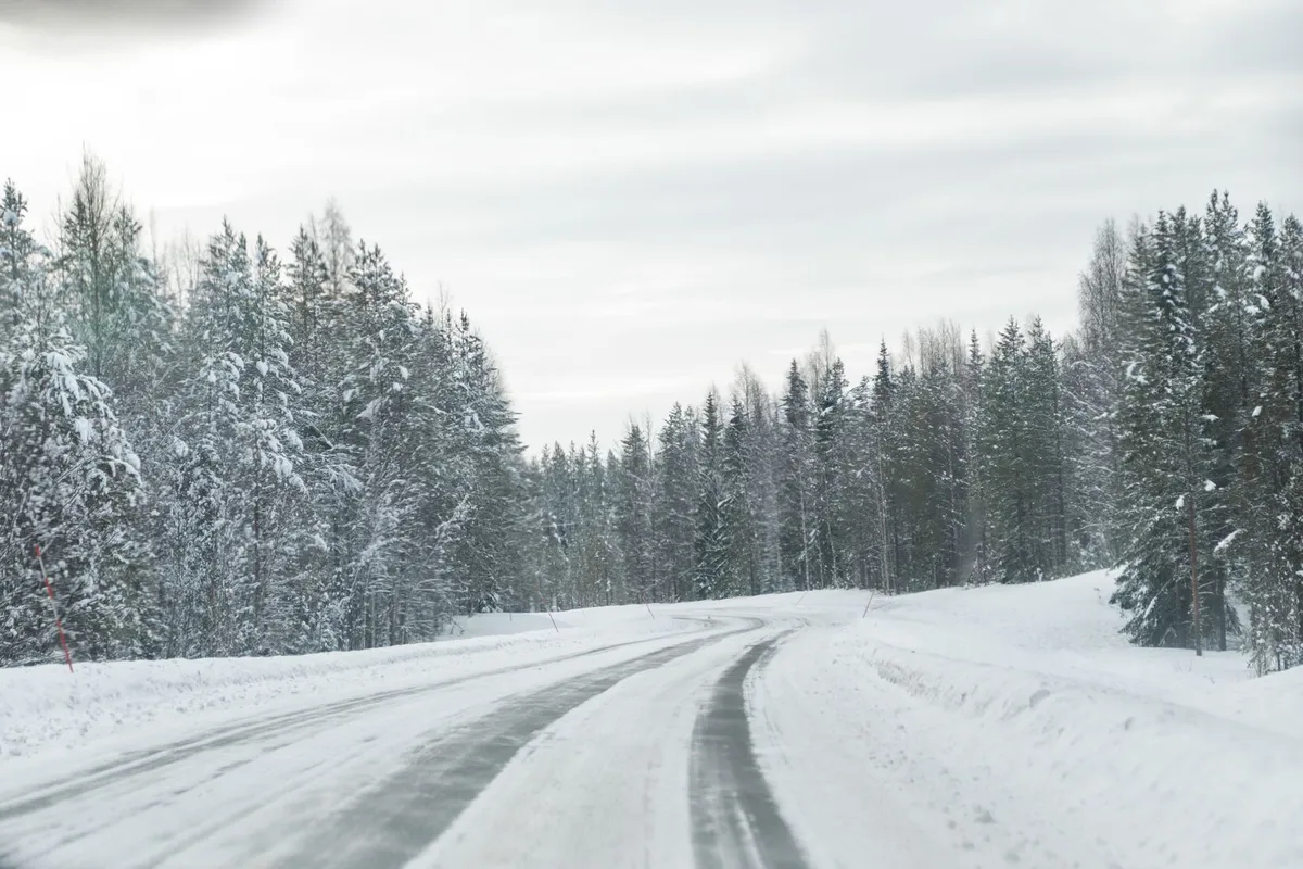 Estrada entre pinheiros cobertos de neve em Rovaniemi, Lapônia