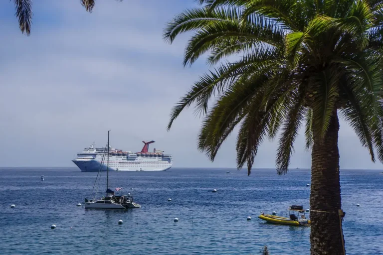 Excursão do navio ou por conta própria: risco e preço