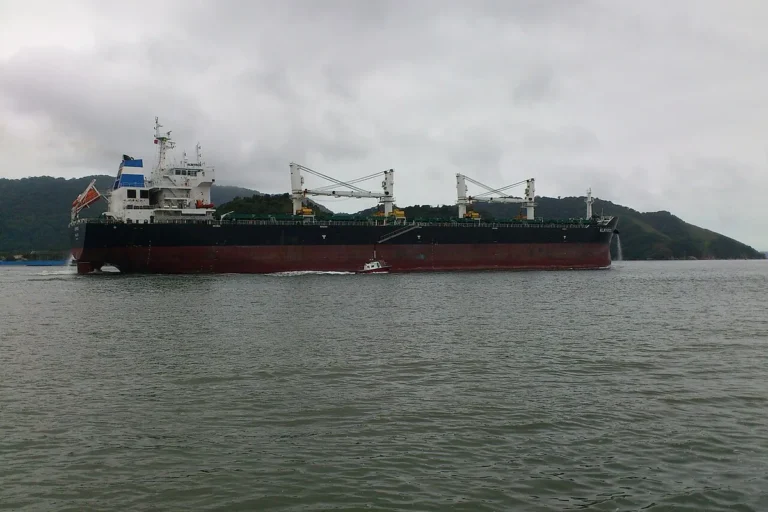 Navio Daniel 2027 (8 a 11/01): atrações, valores e cabines
