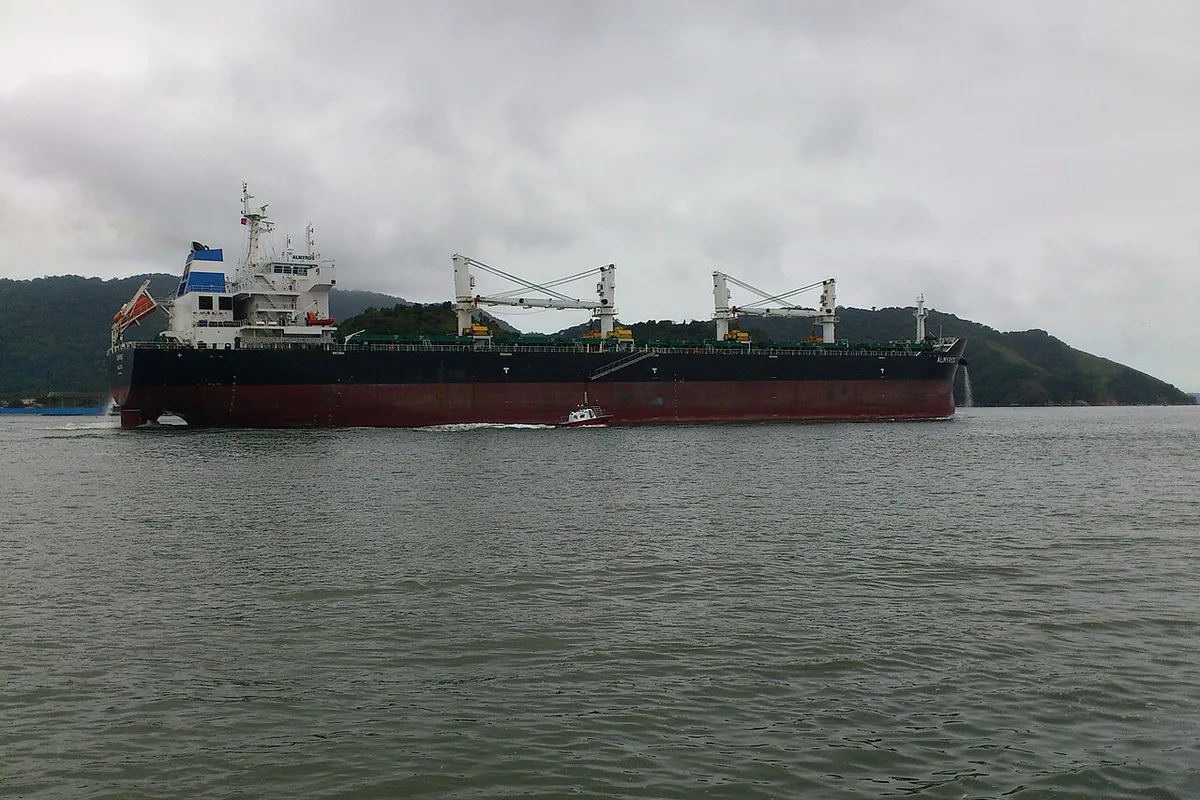 Navio deixando o porto de Santos pelo canal do estuário