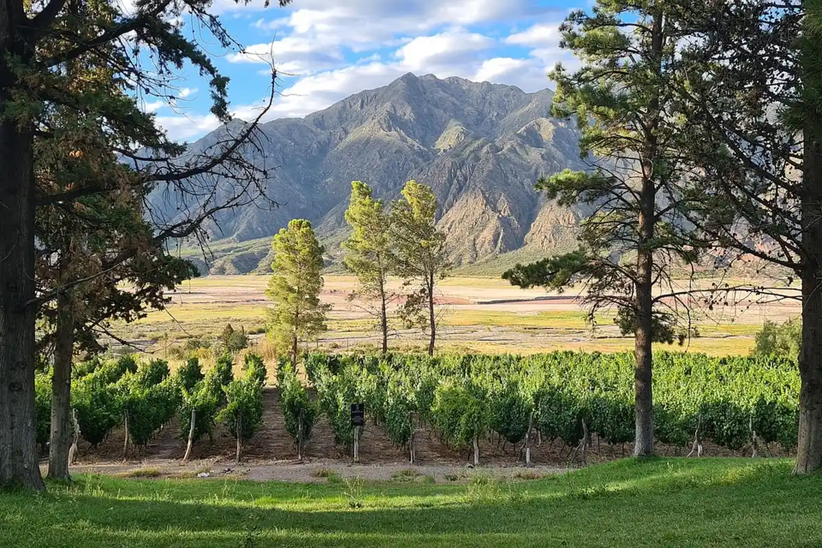 Panorama de vinhedos em Mendoza, Argentina, com montanhas ao fundo