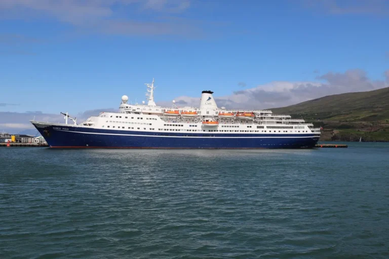 Navio de cruzeiro azul e branco navegando em mar aberto